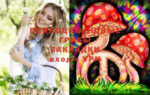 а пвп мука Алзамай